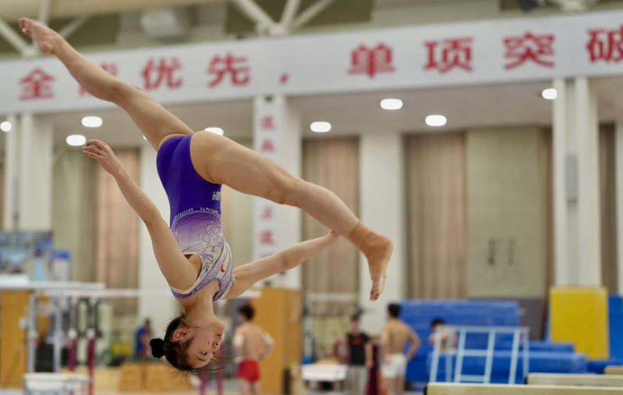 完美体育官方登录体验分析